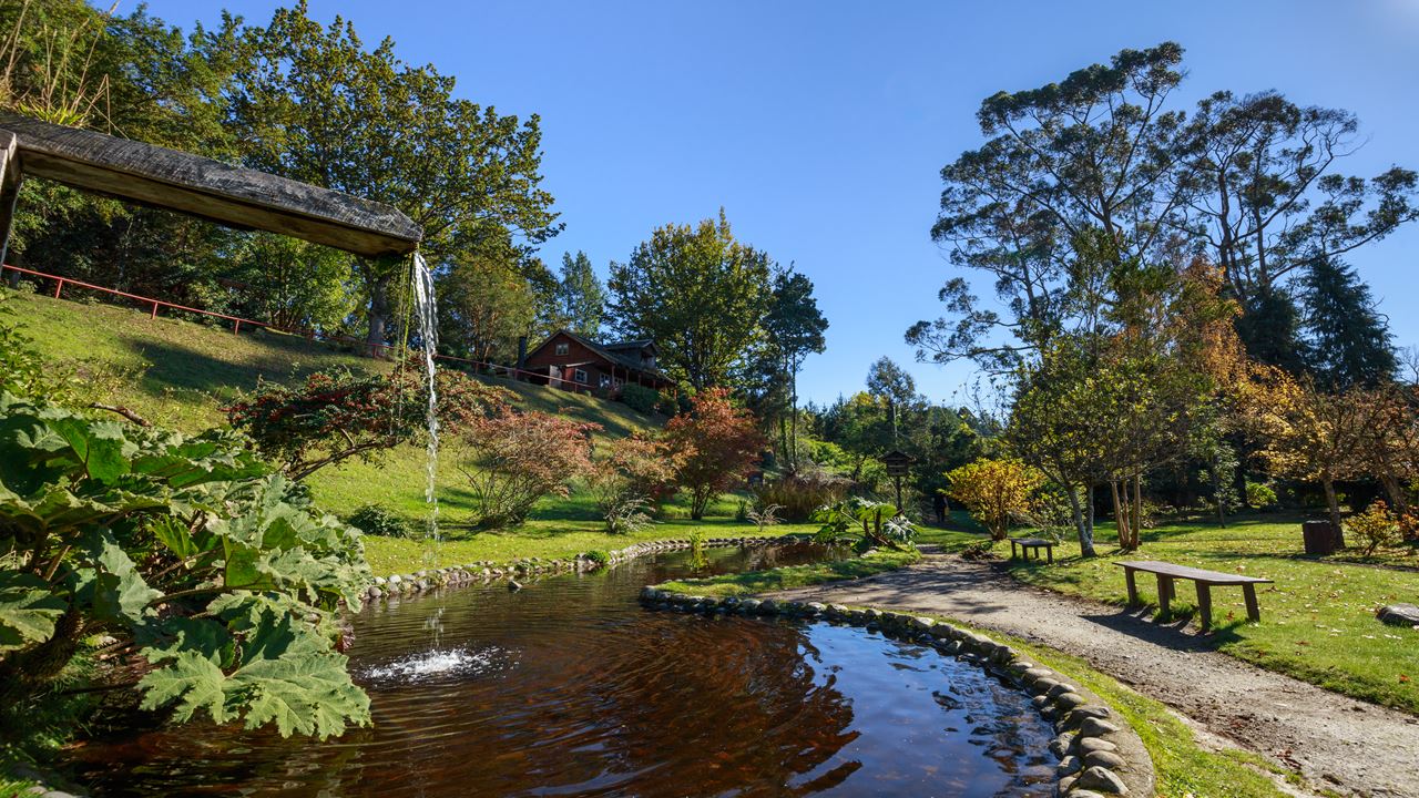 Vuelta Al Lago Llanquihue, Aventura En Bici foto 5