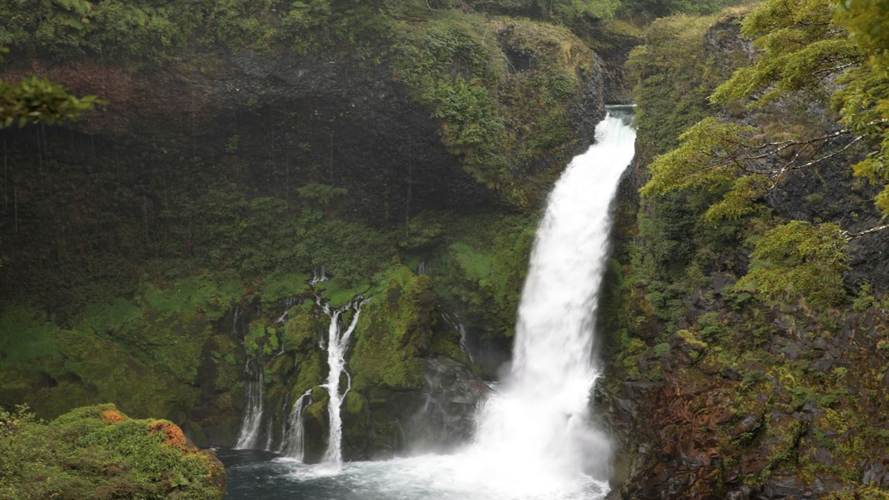 Huilo Huilo Biological Reserve From Pucon