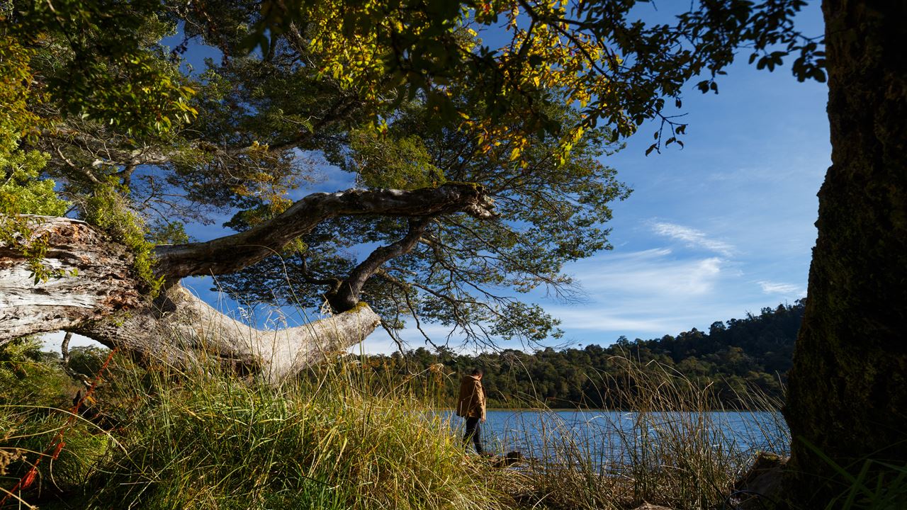 Parque Nacional Puyehue E Termas De Aguas Calientes