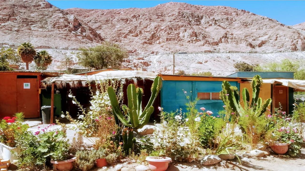 Excursion À L'oasis De Codpa, Aux Pétroglyphes De Guañacagua Et D'ofrajía