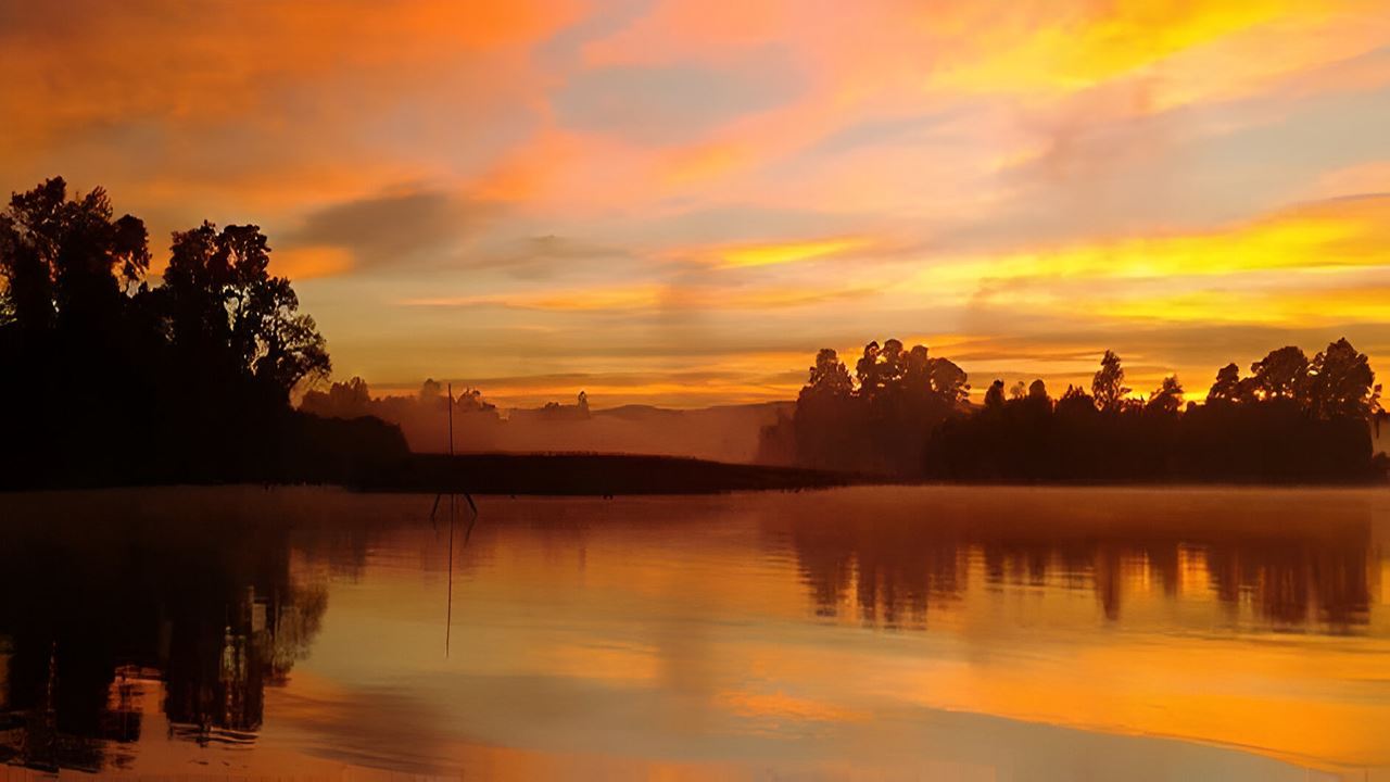 Travessia Para A Península De San Ramon Em Valdivia
